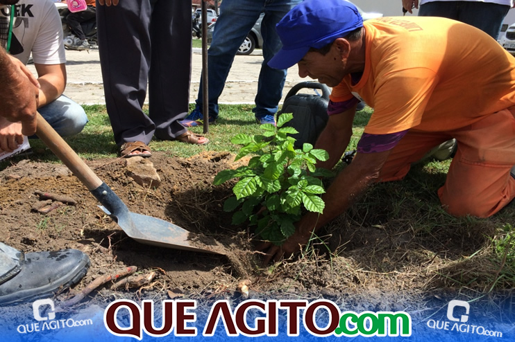 Arborização é destaque nas ações do Prefeitura em Ação no bairro Colonial 7