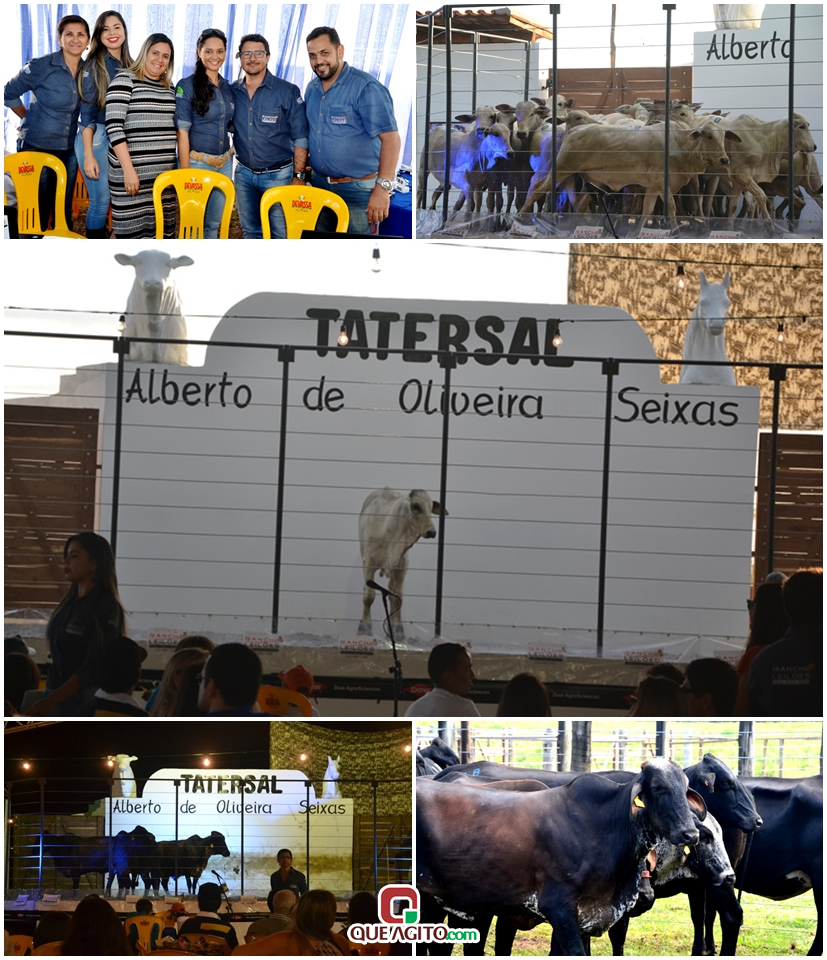 2º Leilão Fazendas Reunidas Cariri e Haras Cheval foi um sucesso 8