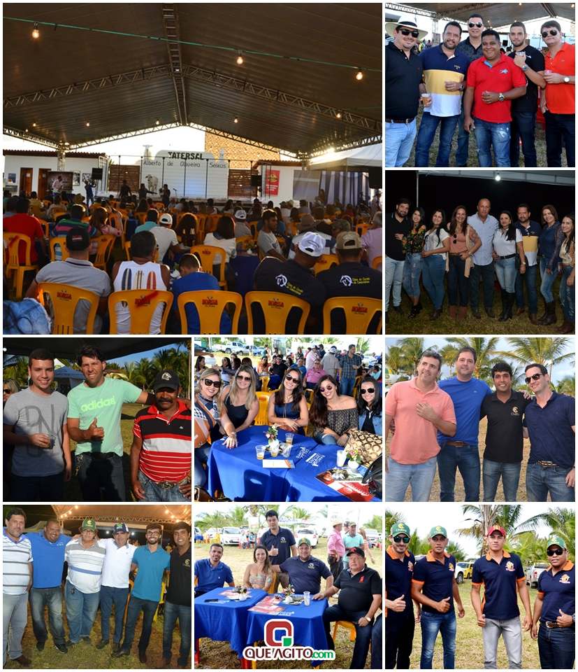 2º Leilão Fazendas Reunidas Cariri e Haras Cheval foi um sucesso 9