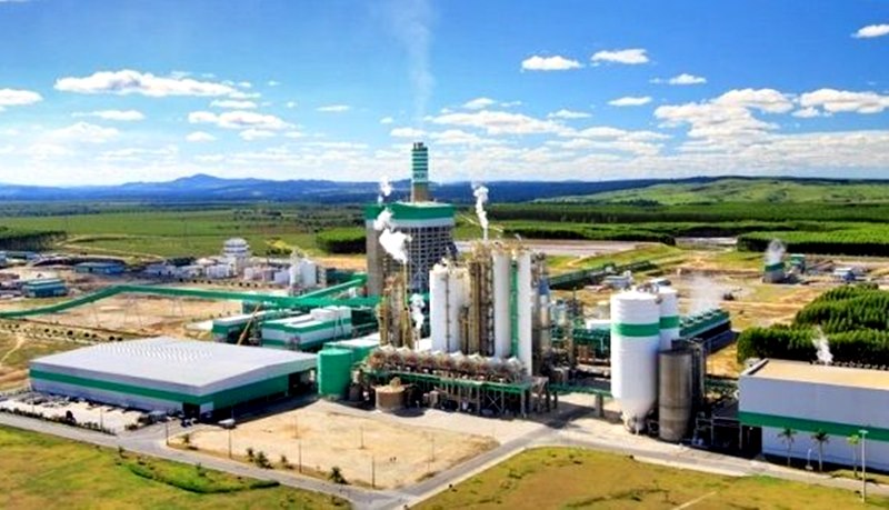 Veracel divulga vaga de emprego para quem não concluiu o ensino médio 5