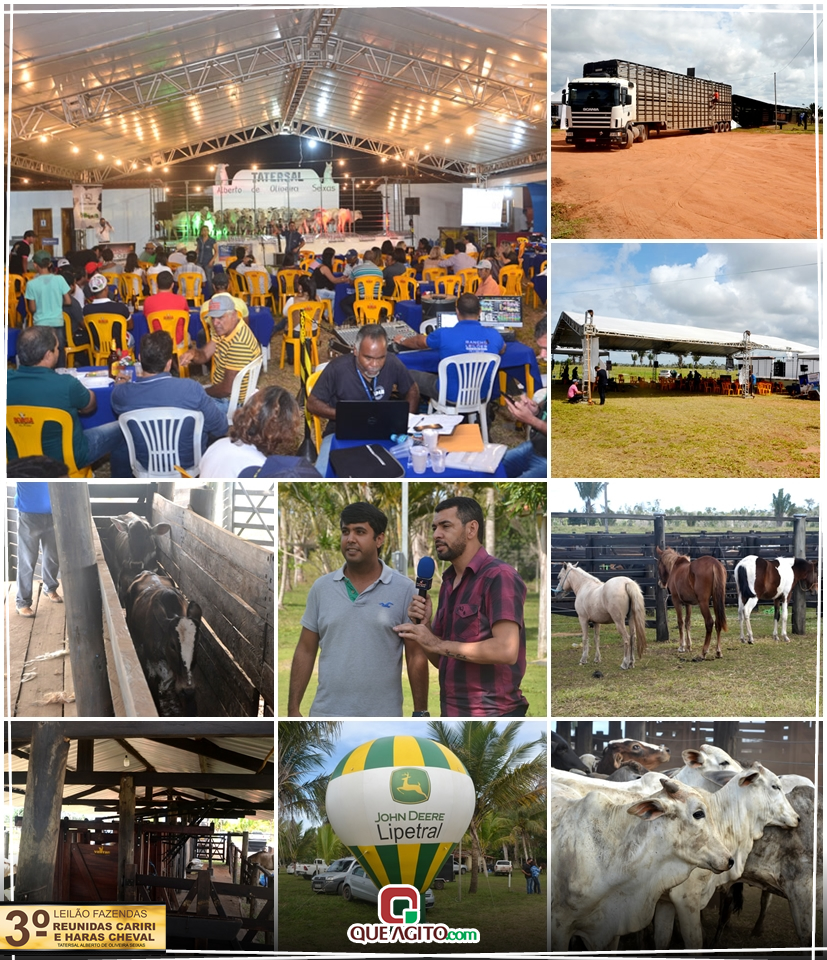 3º Leilão Fazendas Reunidas Cariri, Haras Cheval & Convidados 5