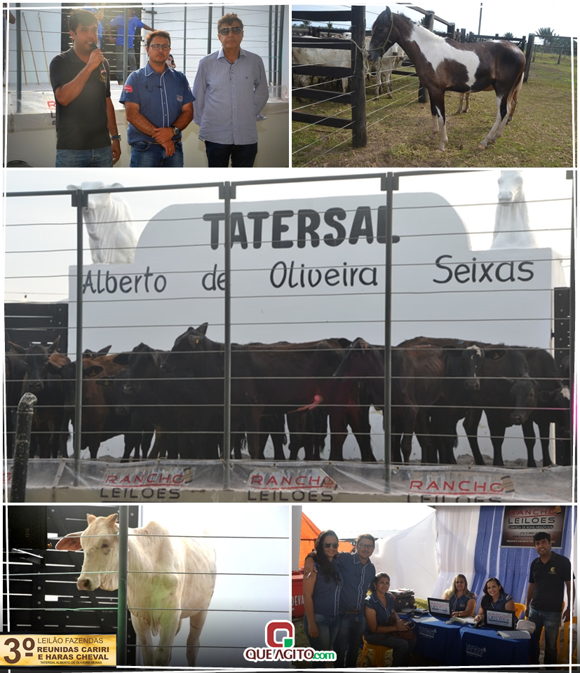 3º Leilão Fazendas Reunidas Cariri, Haras Cheval & Convidados 7