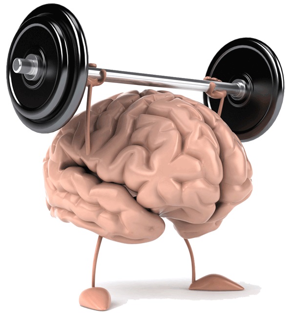 Atividade física turbina o cérebro em qualquer fase da vida, diz pesquisa 5