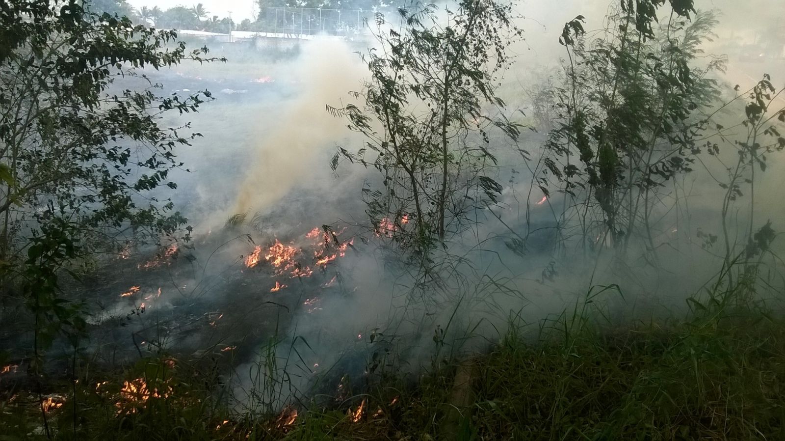 Fuligens de queimadas nas proximidades de Eunápolis estão infernizando a vida da população, donas de casa reclamam 6