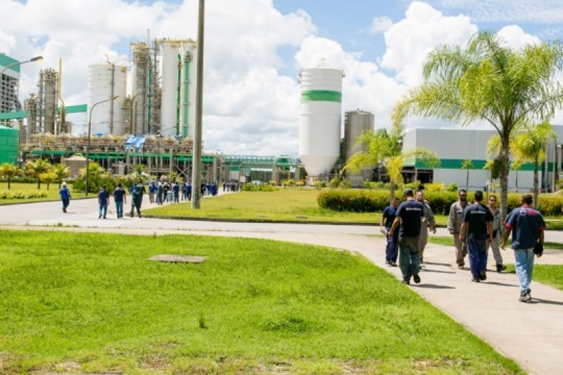 Veracel divulga edital para contratação de estagiário nível técnico Meio Ambiente 5