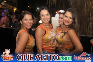 Muito agito no primeiro dia do Bloco CarnaPorco no Tex Mex 113