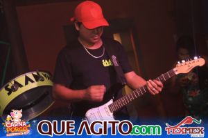 Muito agito no primeiro dia do Bloco CarnaPorco no Tex Mex 109