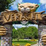 Projeto de observação de aves será implantado em Porto Seguro 8