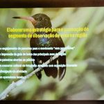 Projeto de observação de aves será implantado em Porto Seguro 21
