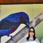 Projeto de observação de aves será implantado em Porto Seguro 9