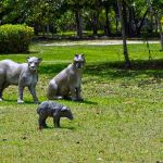 Projeto de observação de aves será implantado em Porto Seguro 15