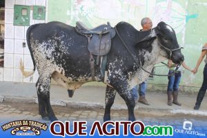 Segundo dia da Montaria da Tradição de São José da Vitória contou com show de Calcinha Preta, Vaqueiro Cantador e Andinho Brito 186