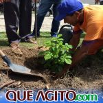 Arborização é destaque nas ações do Prefeitura em Ação no bairro Colonial 16