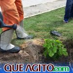 Arborização é destaque nas ações do Prefeitura em Ação no bairro Colonial 51
