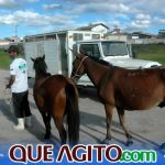 Arborização é destaque nas ações do Prefeitura em Ação no bairro Colonial 40