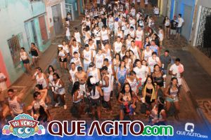 Bloco Vai Vendo foi o destaque na Micareta de Pau Brasil 99