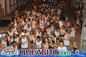 Bloco Vai Vendo foi o destaque na Micareta de Pau Brasil 85