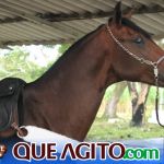 Itabuna: IV Cavalgada Tropa de Elite foi espetacular 30