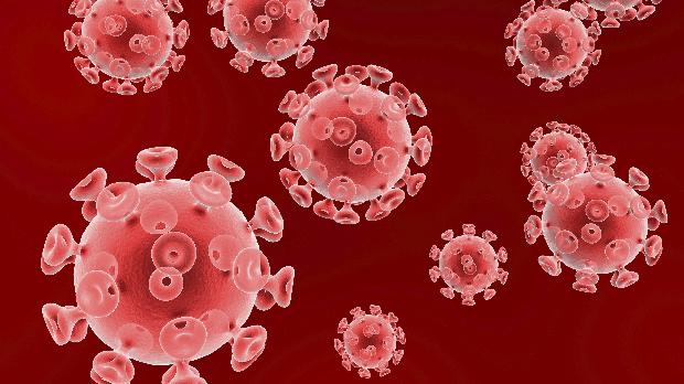 HIV é eliminado do corpo de animais vivos pela primeira vez 6