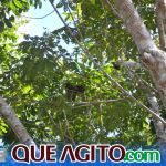 Evento na Estação Veracel apresenta alternativas de turismo sustentável a empresários locais 31