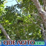 Evento na Estação Veracel apresenta alternativas de turismo sustentável a empresários locais 21