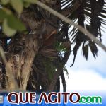 Evento na Estação Veracel apresenta alternativas de turismo sustentável a empresários locais 13