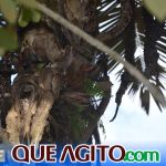 Evento na Estação Veracel apresenta alternativas de turismo sustentável a empresários locais 52