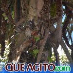 Evento na Estação Veracel apresenta alternativas de turismo sustentável a empresários locais 46