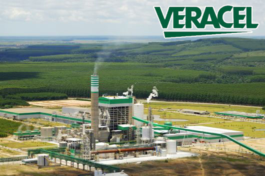 Veracel Celulose divulga edital para contratação de estagiário de nível superior 12