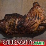 Milhares de cavaleiros e amazonas participam da 17ª Cavalgada do Boinha em Canavieiras 199