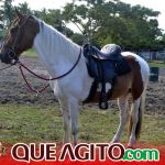 Milhares de cavaleiros e amazonas participam da 17ª Cavalgada do Boinha em Canavieiras 614