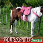 Milhares de cavaleiros e amazonas participam da 17ª Cavalgada do Boinha em Canavieiras 242