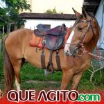 Milhares de cavaleiros e amazonas participam da 17ª Cavalgada do Boinha em Canavieiras 617