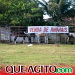 Milhares de cavaleiros e amazonas participam da 17ª Cavalgada do Boinha em Canavieiras 496