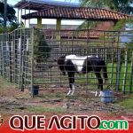 Milhares de cavaleiros e amazonas participam da 17ª Cavalgada do Boinha em Canavieiras 249