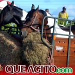 Milhares de cavaleiros e amazonas participam da 17ª Cavalgada do Boinha em Canavieiras 11