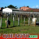 Milhares de cavaleiros e amazonas participam da 17ª Cavalgada do Boinha em Canavieiras 178