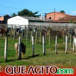 Milhares de cavaleiros e amazonas participam da 17ª Cavalgada do Boinha em Canavieiras 440