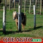 Milhares de cavaleiros e amazonas participam da 17ª Cavalgada do Boinha em Canavieiras 619