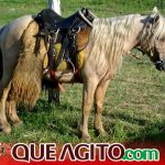 Milhares de cavaleiros e amazonas participam da 17ª Cavalgada do Boinha em Canavieiras 199