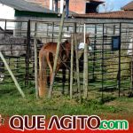 Milhares de cavaleiros e amazonas participam da 17ª Cavalgada do Boinha em Canavieiras 155