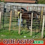 Milhares de cavaleiros e amazonas participam da 17ª Cavalgada do Boinha em Canavieiras 504