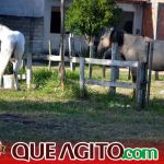 Milhares de cavaleiros e amazonas participam da 17ª Cavalgada do Boinha em Canavieiras 132