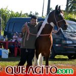 Milhares de cavaleiros e amazonas participam da 17ª Cavalgada do Boinha em Canavieiras 245