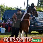 Milhares de cavaleiros e amazonas participam da 17ª Cavalgada do Boinha em Canavieiras 500