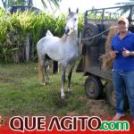 Milhares de cavaleiros e amazonas participam da 17ª Cavalgada do Boinha em Canavieiras 592
