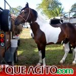 Milhares de cavaleiros e amazonas participam da 17ª Cavalgada do Boinha em Canavieiras 223