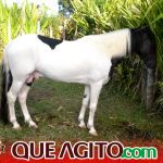 Milhares de cavaleiros e amazonas participam da 17ª Cavalgada do Boinha em Canavieiras 632