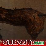 Milhares de cavaleiros e amazonas participam da 17ª Cavalgada do Boinha em Canavieiras 561