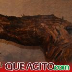 Milhares de cavaleiros e amazonas participam da 17ª Cavalgada do Boinha em Canavieiras 489